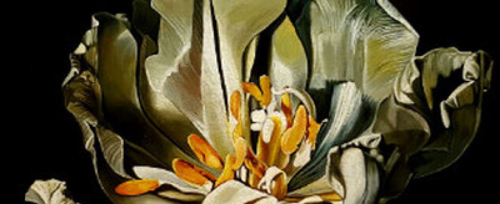 The Golden Age by Sarah Standing sq