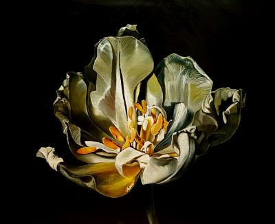 Sarah Standing: The Golden Age | Going Solo ’16 | Tuesday 13 December 2016  – Tuesday 31 January 2017 | Toradh Gallery