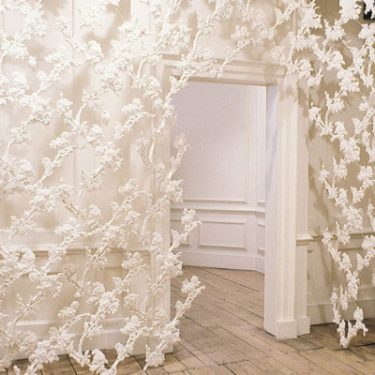 Daphne Wright: Emotional Archaeology |  Royal Hibernian Academy 
15 Ely Place, Dublin 2 | Friday 20 January to Sunday 26 February 2017 | to 