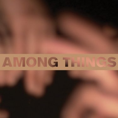 Among Things |  Roscommon Arts Centre 
Circular Road Roscommon Town | Saturday 4 February to Friday 31 March 2017 | to 