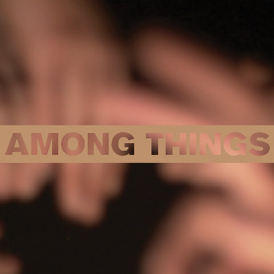 Among Things |  Roscommon Arts Centre 
Circular Road Roscommon Town | Saturday 4 February to Friday 31 March 2017 | to 
