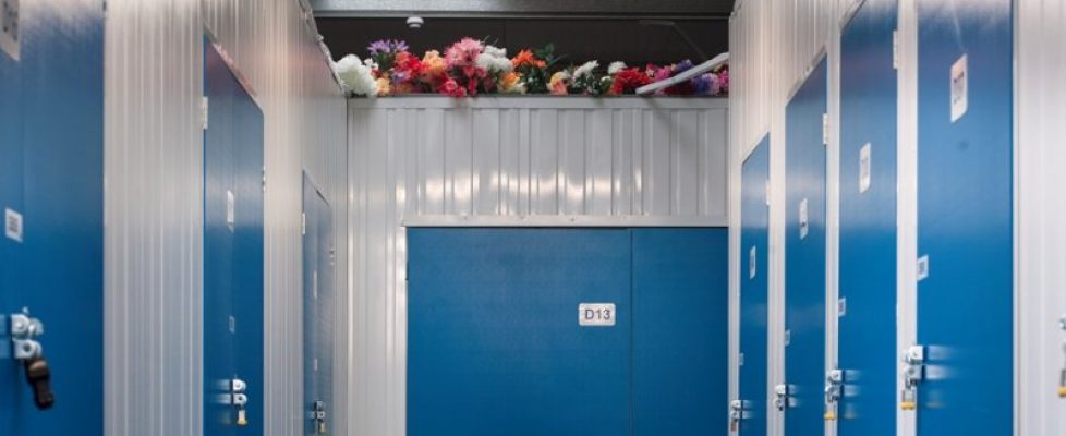 flowers_website_resized