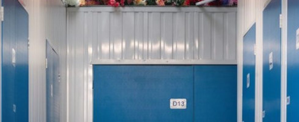 flowers_website_resized sq