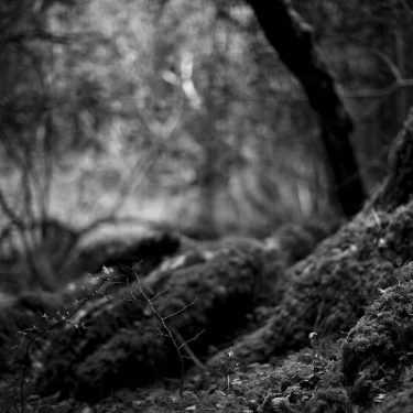 Lorraine Neeson: Current |  SIRIUS 
The Old Yacht Club Cobh, Co. Cork | Sunday 22 January to Sunday 26 March 2017 | to 