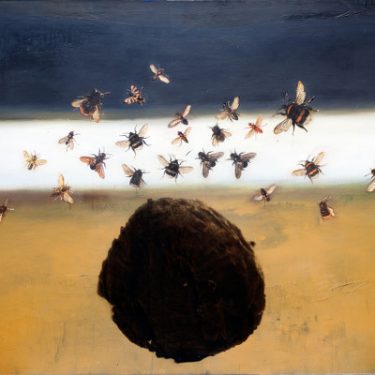 Danny Osborne and Frieda Meaney: Landmarks and Lifeforms |  Uillinn: West Cork Arts Centre 
Skibbereen, Co Cork | Saturday 11 March to Thursday 20 April 2017 | to 