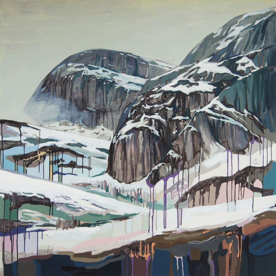 Cecilia Danell: The Last Wilderness | Friday 10 March  – Wednesday 19 April 2017 | Galway Arts Centre