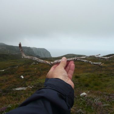 Tony Hill: Selected Works 2017 – 1972 |  F.E. McWilliam Gallery 
200 Newry Road Banbridge County Down | Friday 14 April to Sunday 4 June 2017 | to 