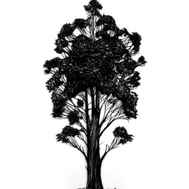 Eamon O’Kane: Does all the beauty of the world cease when you die? |  Butler Gallery 
Evans’ Home John’s Quay, Kilkenny | Saturday 6 May to Sunday 11 June 2017 | to 