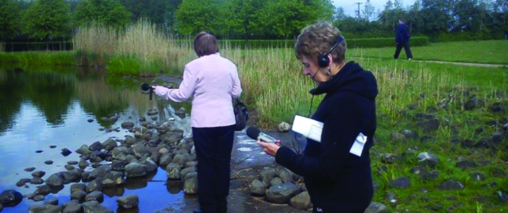 Nollaig Molloy: Rambling Sounds | Tuesday 9 May  – Tuesday 30 May 2017 | Roscommon Arts Centre