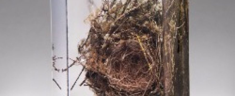 Sasha_Sykes_2.jpg_Thumbnail0