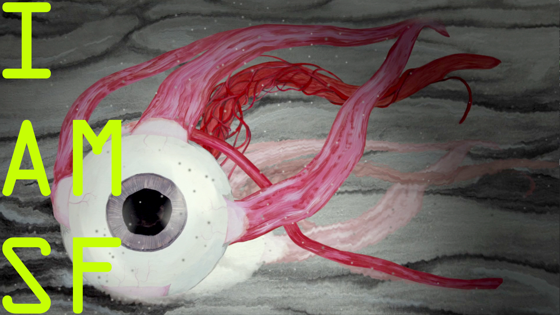 Anna Bunting-Branch: I am SF | Saturday 20 May 2017 | CCA