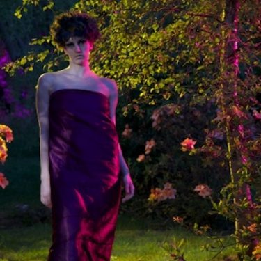 Vivienne Dick: 93% STARDUST |  IMMA 
Royal Hospital, Kilmainham Dublin 8 | Friday 16 June to Sunday 15 October 2017 | to 