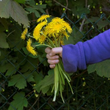 Mary Furlong: The Red Ribbon |  Toradh Gallery 
Ashbourne Cultural Centre Ashbourne, Co. Meath | Wednesday 21 June to Tuesday 25 July 2017 | to 