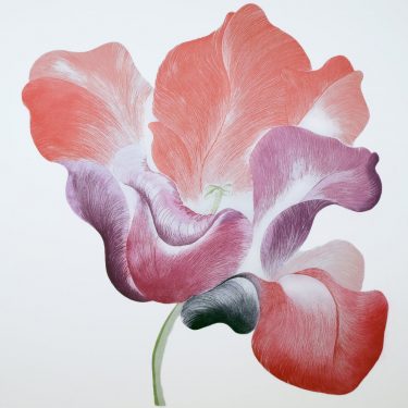 A Sense of Summer |  Bourn Vincent Gallery 
University Of Limerick Plassey, Limerick | Monday 26 June to Saturday 2 September 2017 | to 