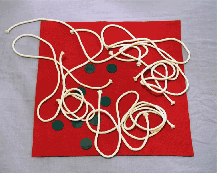 Sarah Pierce: No Title | Saturday 22 July  – Friday 6 October 2017 | CCA