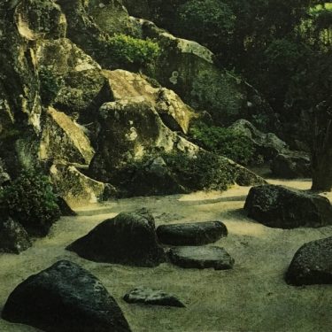 Tanad Williams and Tom Watt |  Mermaid Arts Centre 
Main Street, Bray Co. Wicklow | Friday 28 July to Saturday 2 September 2017 | to 