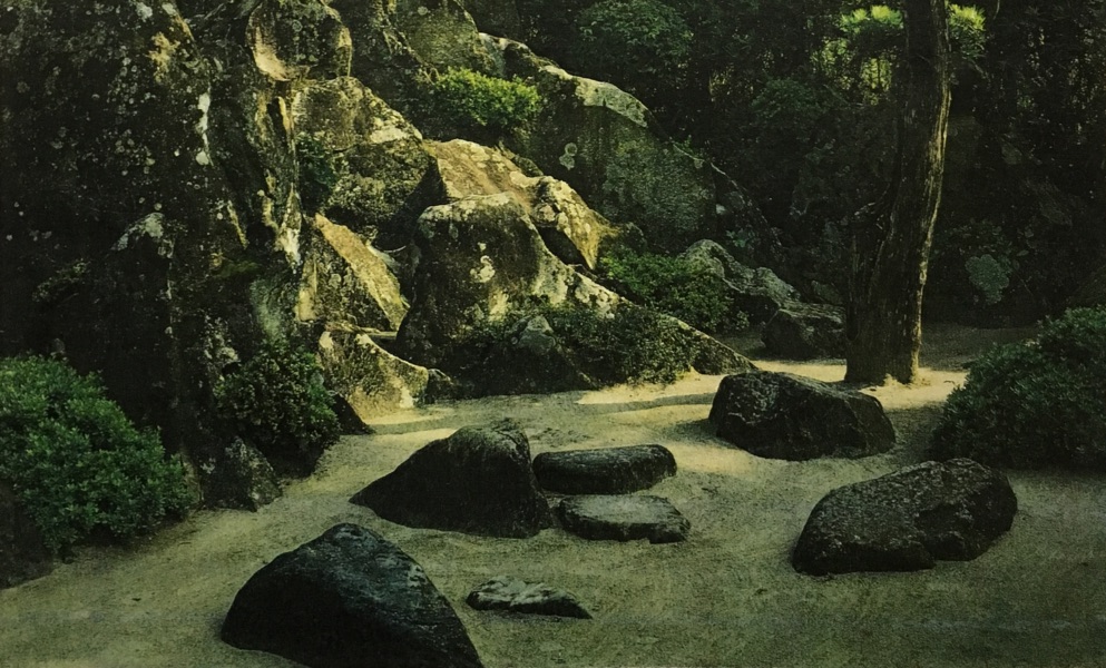 Tanad Williams and Tom Watt | Friday 28 July  – Saturday 2 September 2017 | Mermaid Arts Centre