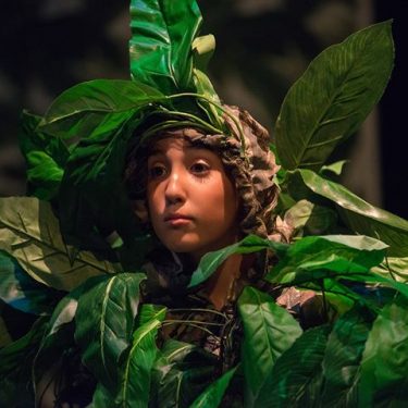 Wilder Beings Command! |  IMMA 
Royal Hospital, Kilmainham Dublin 8 | Saturday 29 July 2017 | to 