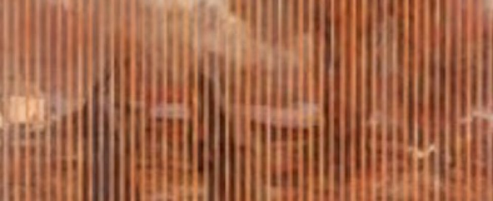 Cliona-Harmey-Sean-Molloy-David-Quinn