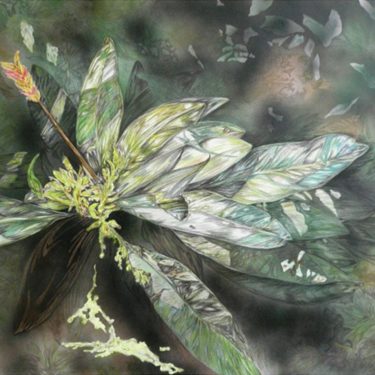 Human Chain: Dutch Contemporary Drawings |  Ballina Arts Centre 
Barrett Street Ballina, Co. Mayo | Friday 8 September to Saturday 28 October 2017 | to 