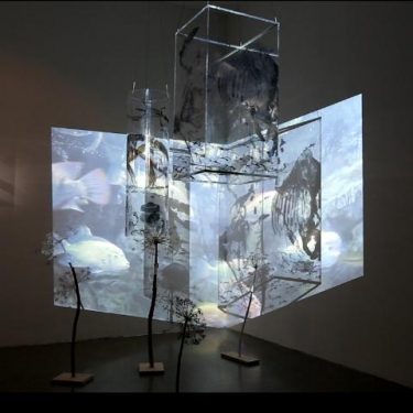 Frieda Meaney and Danny Osborne: Landmarks & Lifeforms |  Limerick City Gallery 
Pery Square, Limerick | Saturday 9 September to Sunday 22 October 2017 | to 