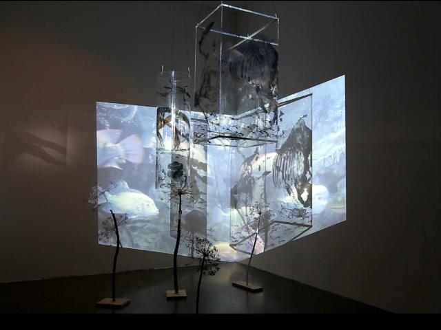 Frieda Meaney and Danny Osborne: Landmarks & Lifeforms | Saturday 9 September  – Sunday 22 October 2017 | Limerick City Gallery