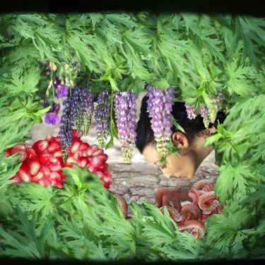 Aideen Barry: Slice, Vast, Deep |  Municipal Gallery 
dlr LexIcon Dún Laoghaire, Co. Dublin | Friday 15 September to Sunday 5 November 2017 | to 