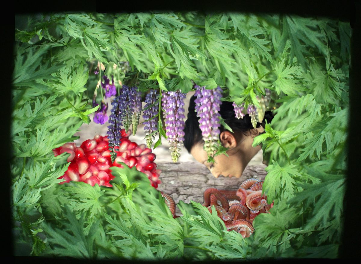 Aideen Barry: Slice, Vast, Deep | Friday 15 September  – Sunday 5 November 2017 | Municipal Gallery