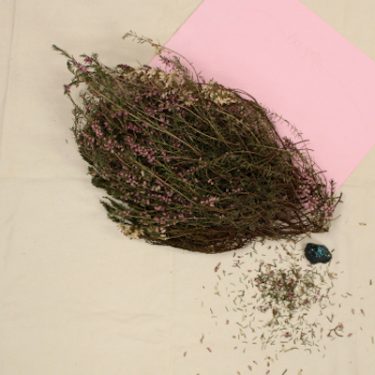 Michelle Hall |  ArtBox 
Unit 3, James Joyce Street Dublin 1 | Thursday 28 September to Saturday 21 October 2017 | to 