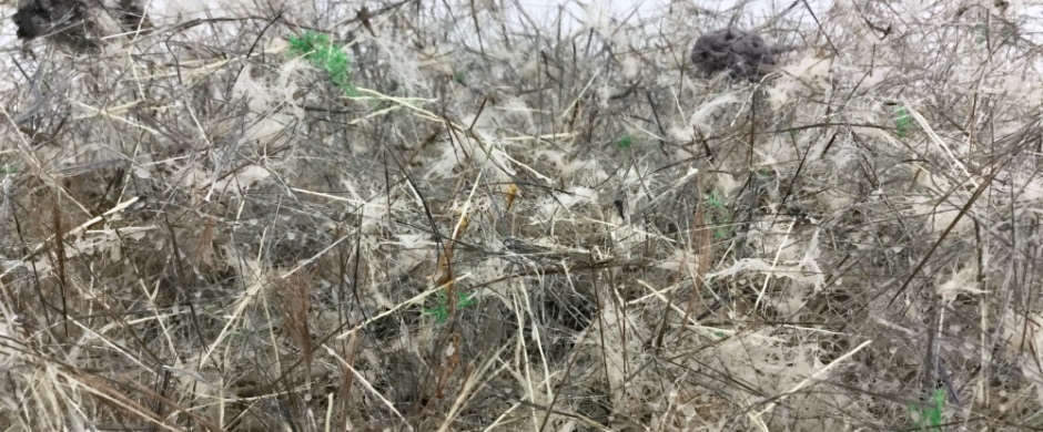 Paul Mosse: What’s with the Apocalypse? | Saturday 16 September 2017  – Friday 12 January 2018 | VISUAL Centre for Contemporary Art