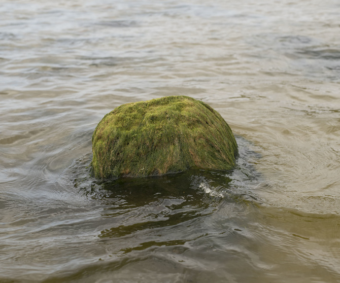 Linda Ruttelynck: Sentinels | Friday 15 September  – Saturday 7 October 2017 | Taylor Galleries