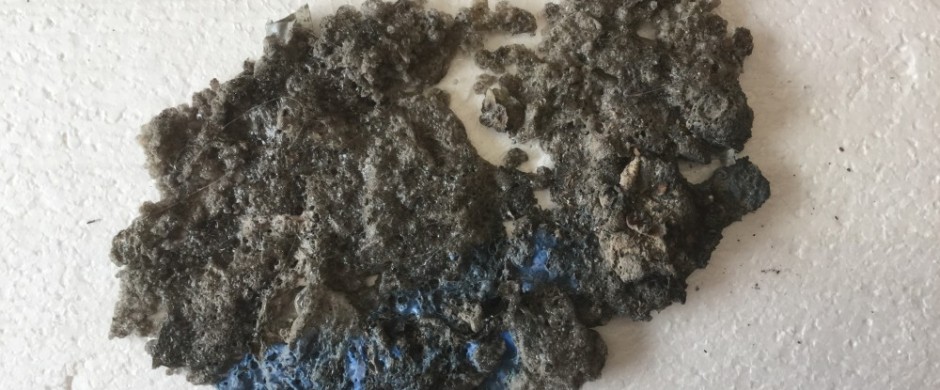 Paul Mosse / Juliette Harvey: Materials Library | Saturday 16 September 2017  – Friday 12 January 2018 | VISUAL Centre for Contemporary Art