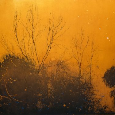 Ailbhe Barrett: INFUSIONS |  Graphic Studio Gallery 
off Cope Street Temple Bar, Dublin 2 | Thursday 7 September to Saturday 30 September 2017 | to 