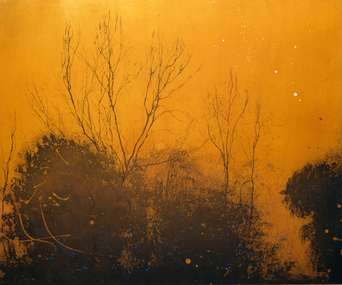 Ailbhe Barrett: Presence, etching and aquatint, varied edition of 30, paper and image 54.5 x 66cm | Ailbhe Barrett: INFUSIONS | Thursday 7 September  – Saturday 30 September 2017 | Graphic Studio Gallery