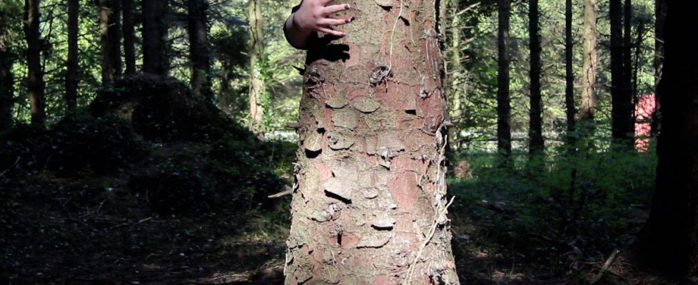 redbird_Bittersweet_DigitalVideo2017