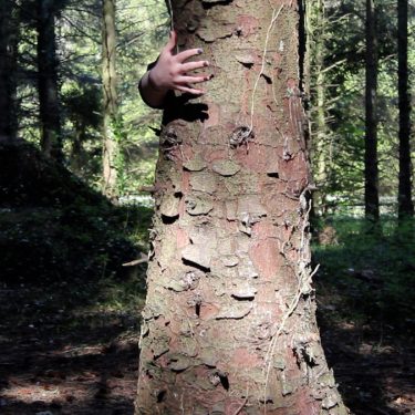 Red Bird Youth Collective: Bittersweet |  Galway Arts Centre 
47 Dominick Street Galway | Friday 1 September to Wednesday 27 September 2017 | to 