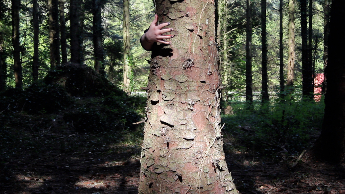 Red Bird Youth Collective: Bittersweet |   to 27 September 2017 | Galway Arts Centre