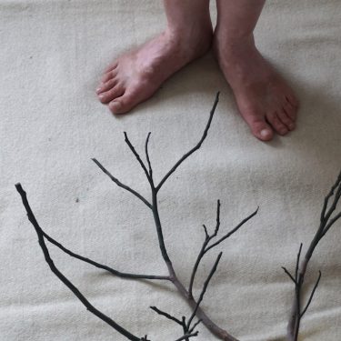 Aoife Desmond: Something Momentous Germinating |  Galway Arts Centre 
47 Dominick Street Galway | Friday 15 September to Tuesday 10 October 2017 | to 