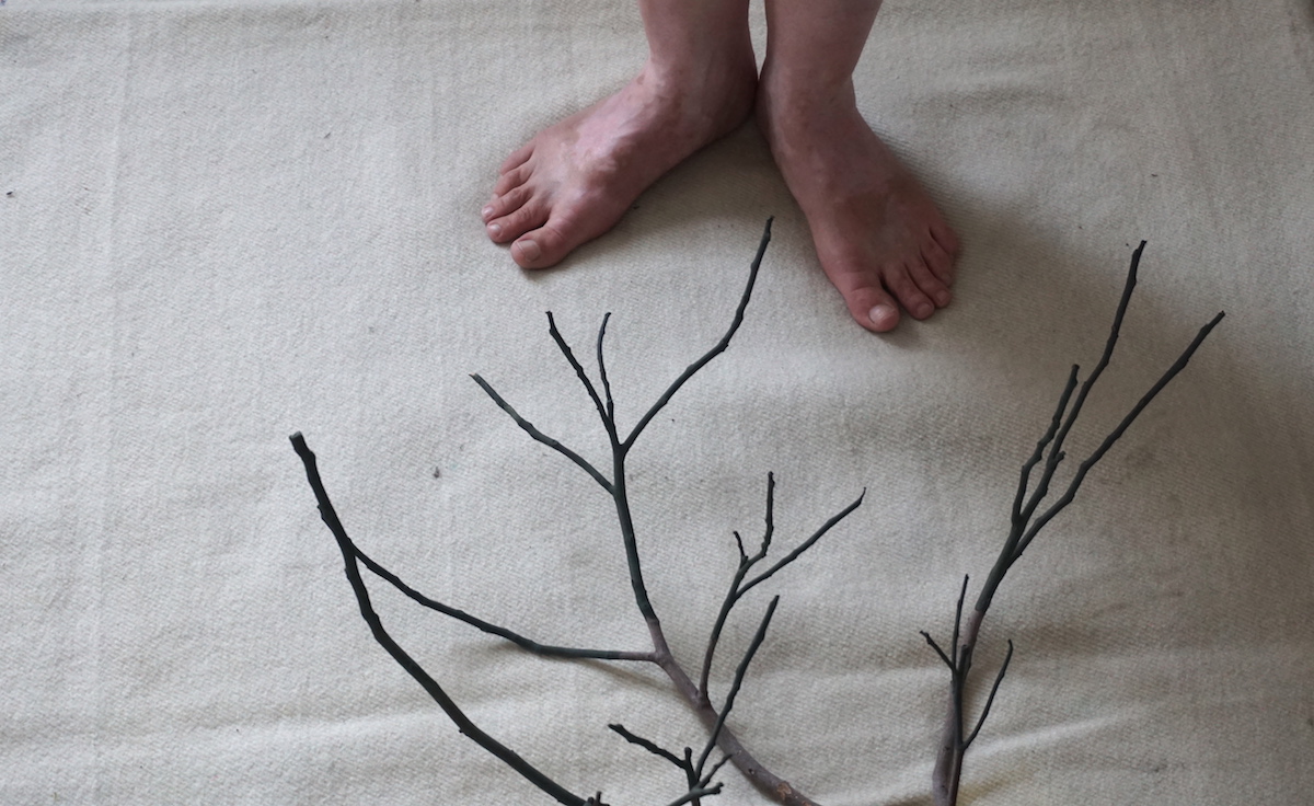 Aoife Desmond: Something Momentous Germinating, 2017 | Aoife Desmond: Something Momentous Germinating | Friday 15 September  – Tuesday 10 October 2017 | Galway Arts Centre