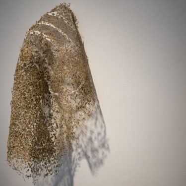 Naomi Draper: Florilegium – a Gathering of Flowers |  ArtBox 
Unit 3, James Joyce Street Dublin 1 | Thursday 2 November to Sunday 26 November 2017 | to 