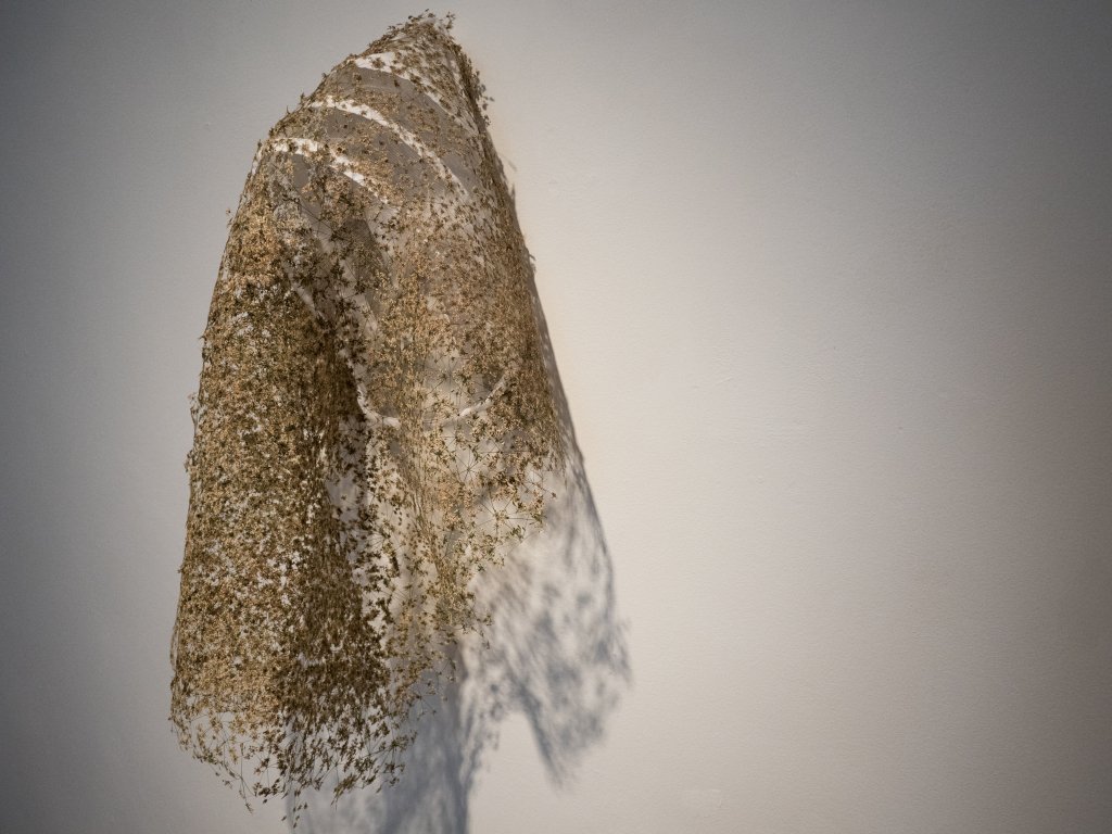 Naomi Draper: Florilegium – a Gathering of Flowers | Thursday 2 November  – Sunday 26 November 2017 | ArtBox