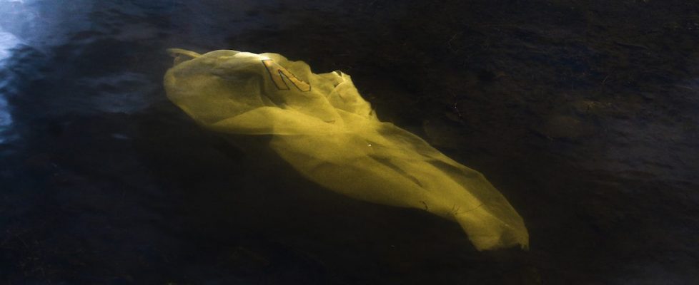 A Portrait lough Key