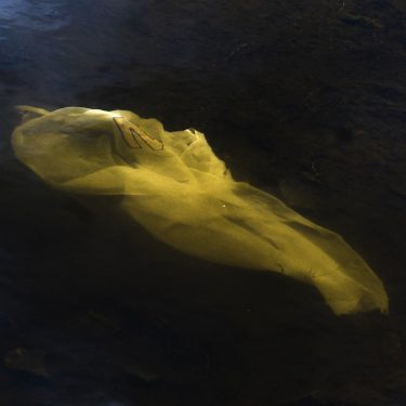 Anna Macleod & Padraig Cunningham: A Portrait: Lough Key |  Roscommon Arts Centre 
Circular Road Roscommon Town | Saturday 11 November 2017 to Friday 12 January 2018 | to 