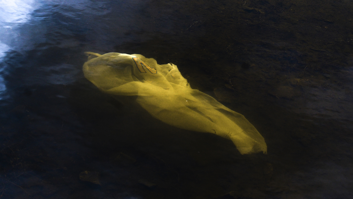 Research image, Anna Macleod & Padraig Cunningham; 2017 | Anna Macleod & Padraig Cunningham: A Portrait: Lough Key | Saturday 11 November 2017  – Friday 12 January 2018 | Roscommon Arts Centre