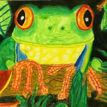 Crawling Through The Jungle |  Atypical Gallery 
109 - 113 Royal Avenue Belfast BT1 1FF | Monday 6 November to Friday 24 November 2017 | to 