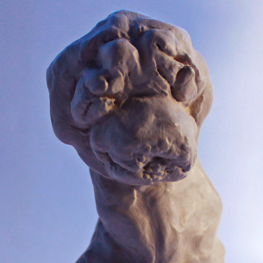 Oscar Dempsey: Hubris |  Rua Red 
South Dublin Arts Centre Tallaght, Dublin 24 | Friday 15 December 2017 to Saturday 20 January 2018 | to 