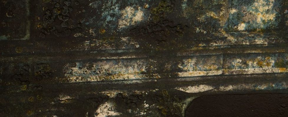 Stephen Vaughan Archive