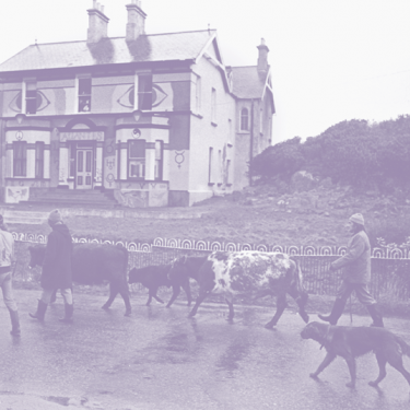 They Call Us The Screamers |  Galway Arts Centre 
47 Dominick Street Galway | Friday 3 November to Sunday 19 November 2017 | to 