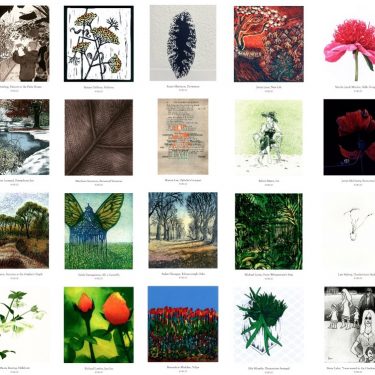 Another Bite of the Cherry |  National Botanic Gardens Glasnevin, Dublin 9 | Wednesday 15 November to Wednesday 6 December 2017 | to 