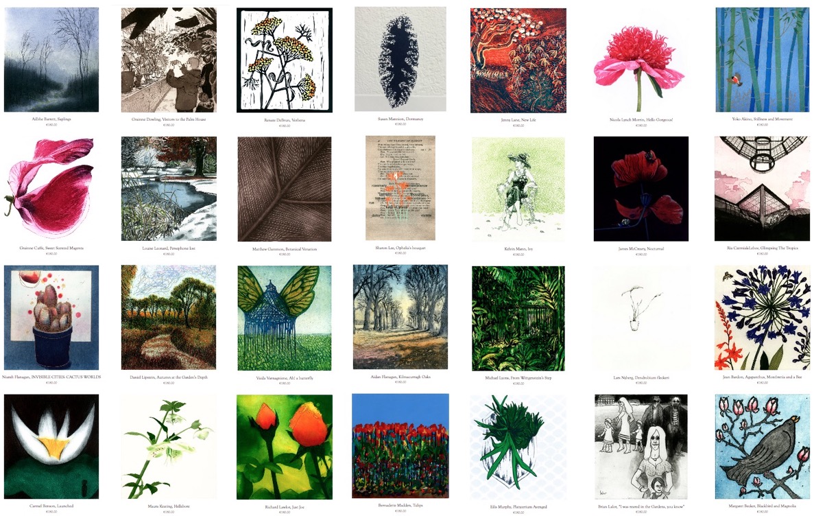 Another Bite of the Cherry | Wednesday 15 November  – Wednesday 6 December 2017 | 